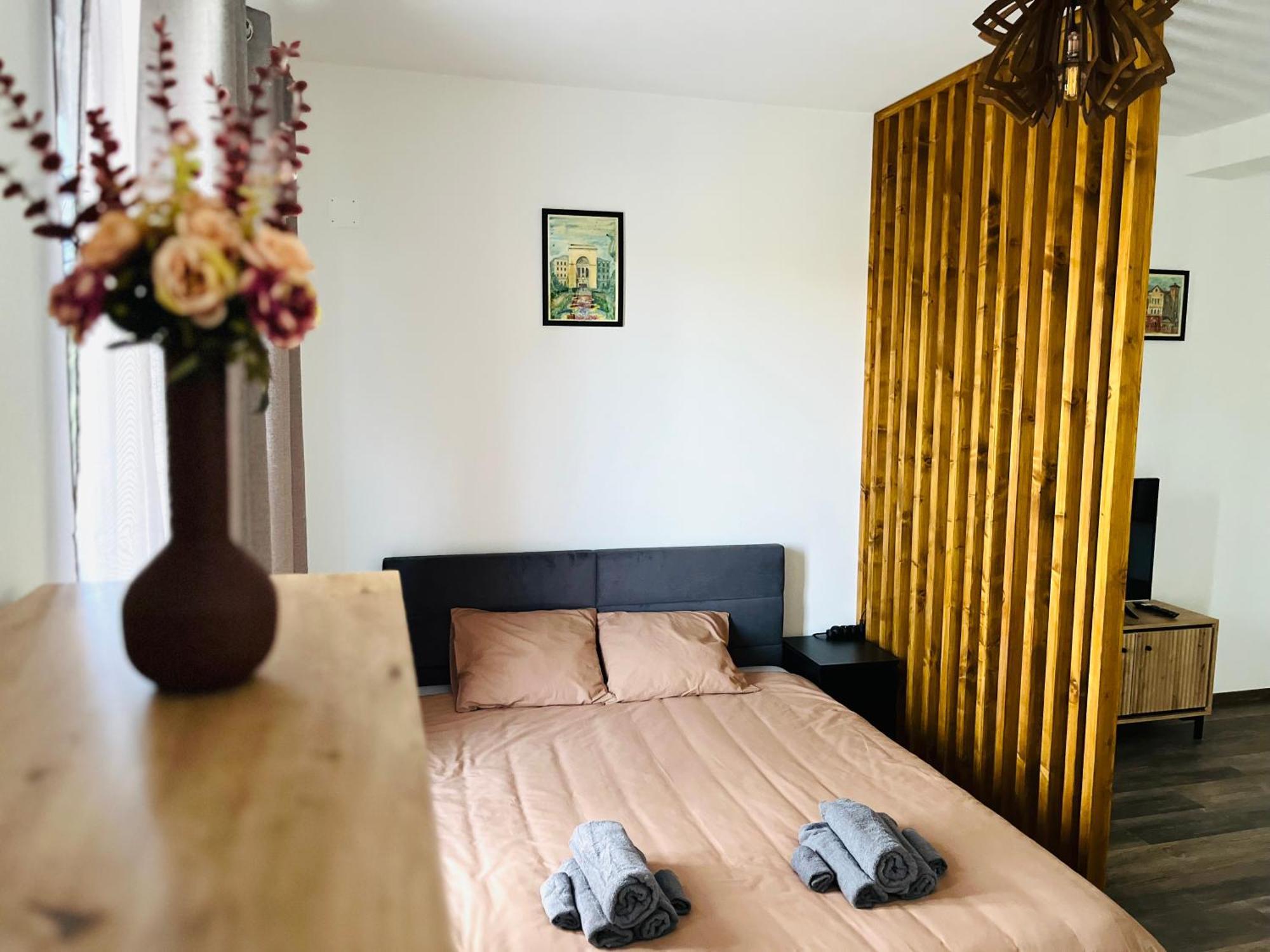 Apartament Studio Bian Timisoara Luaran gambar
